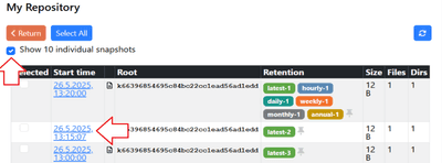 Setting up Kopia GUI - Hetzner Docs